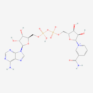 NAD+ Nicotinamide Adenine Dinucleotide research compound
