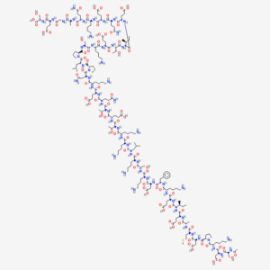 TB-500 Thymosin Beta-4 derived research peptide